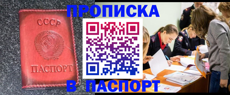 прописка для школы в Далматово